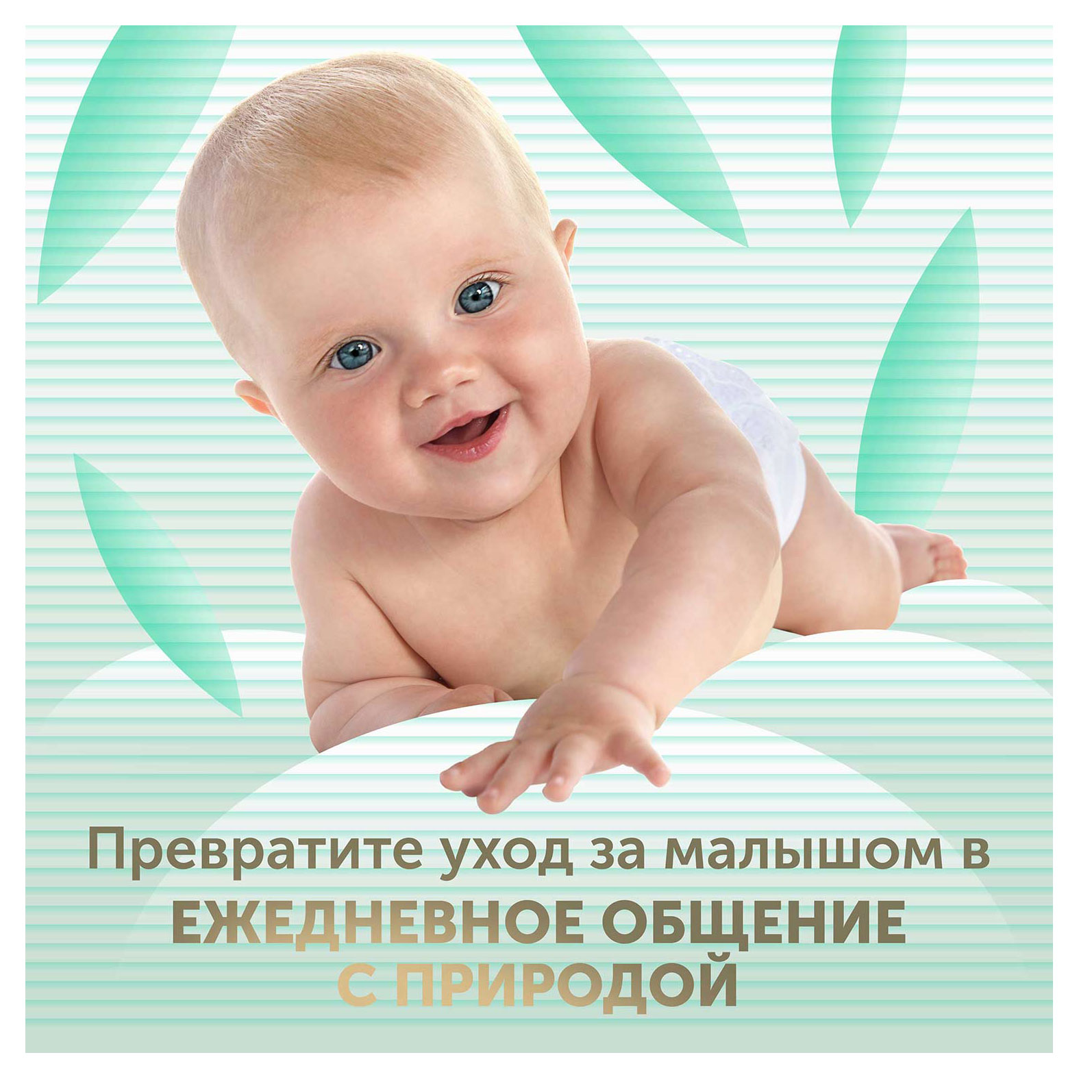 https://www.auchan.ru/files/original/31574788