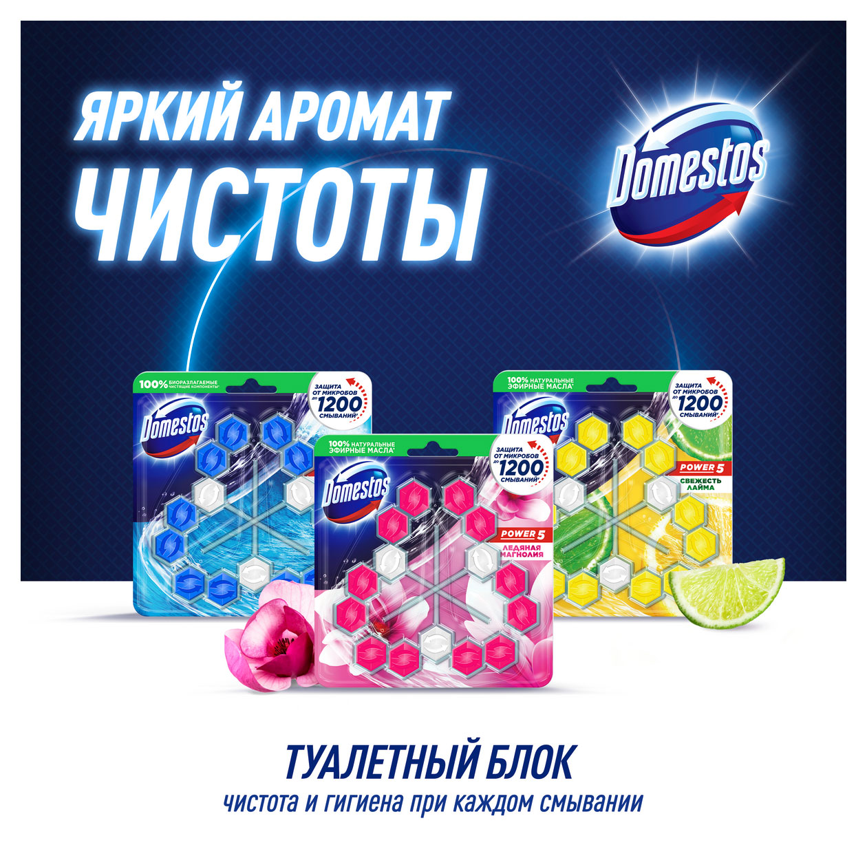 https://www.auchan.ru/files/original/31847500