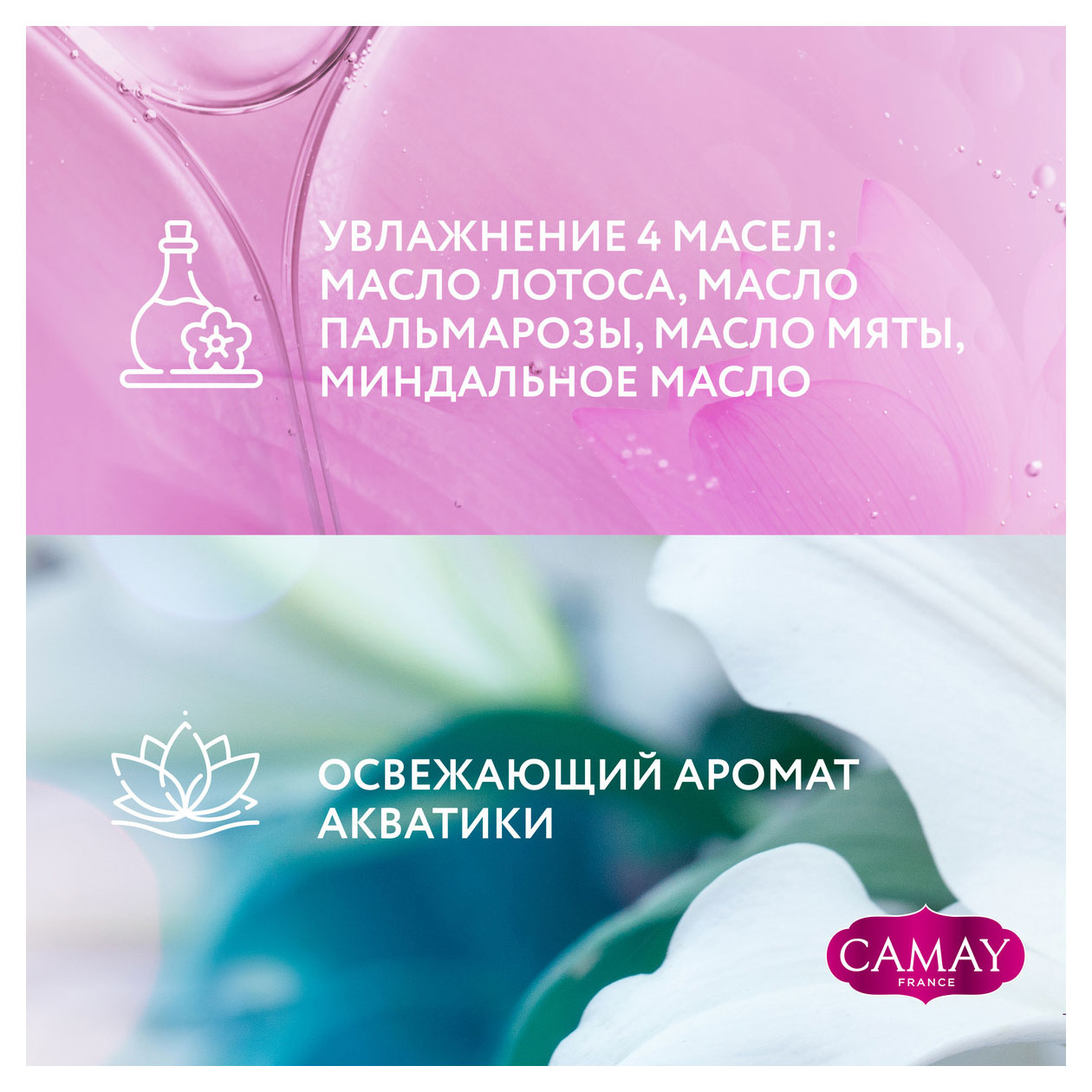 https://www.auchan.ru/files/original/31849396