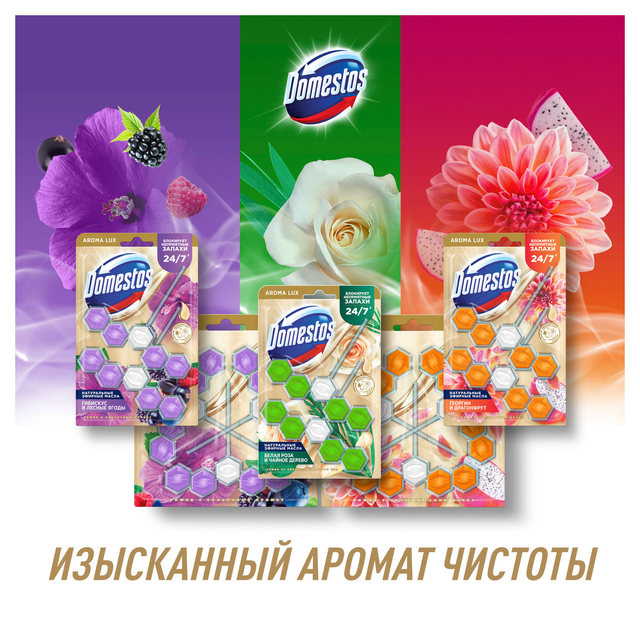 https://www.auchan.ru/files/original/31852396