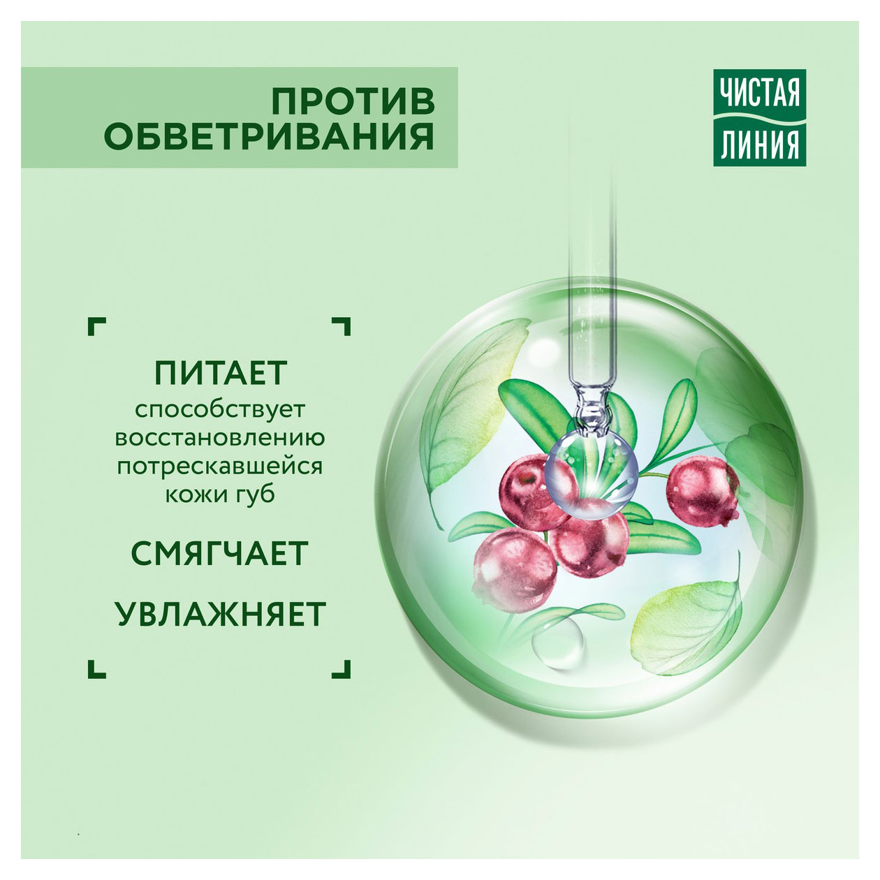 https://www.auchan.ru/files/original/32038576