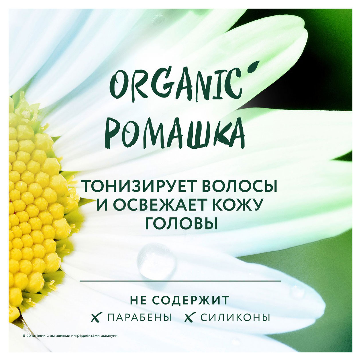 https://www.auchan.ru/files/original/32043268