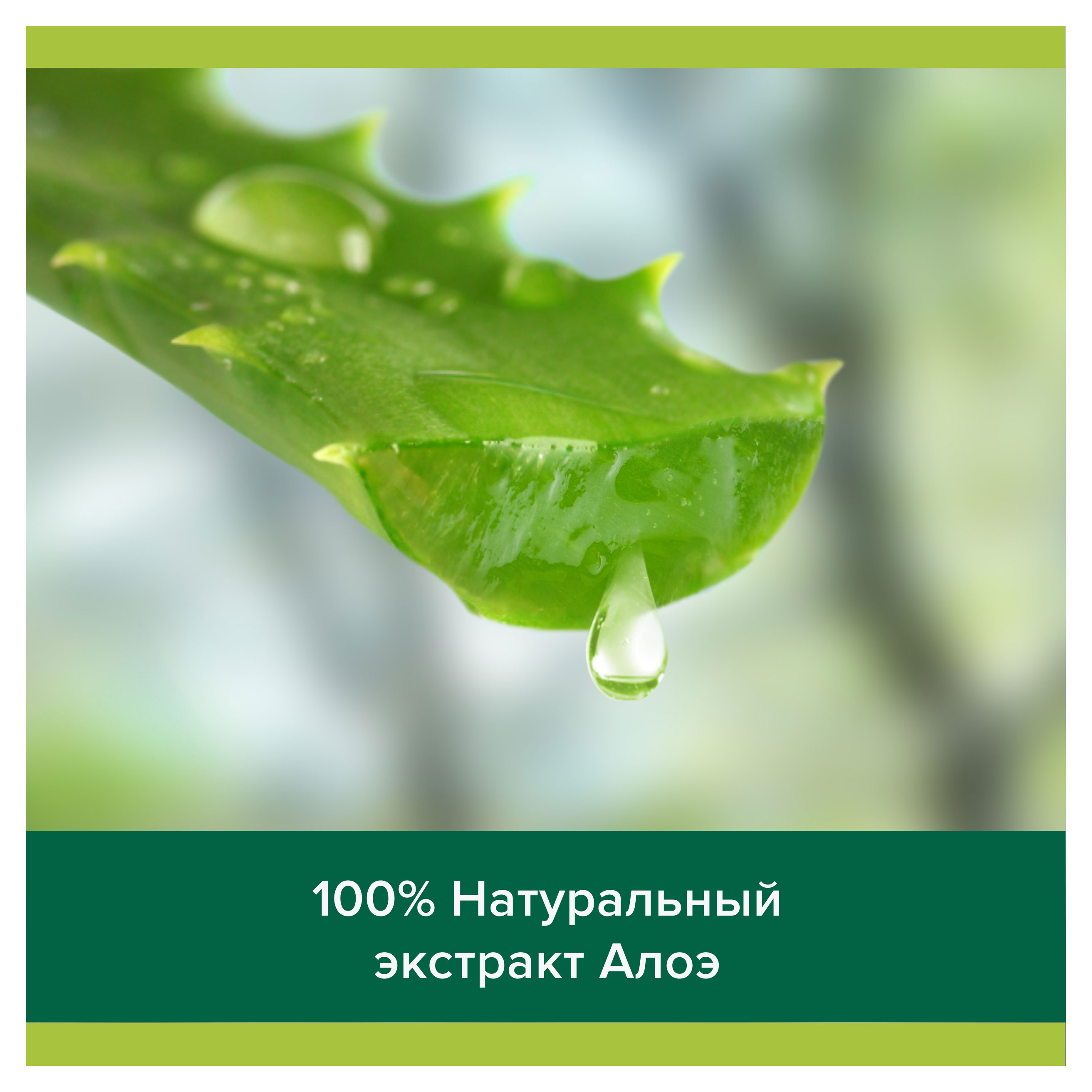 https://www.auchan.ru/files/original/32264916