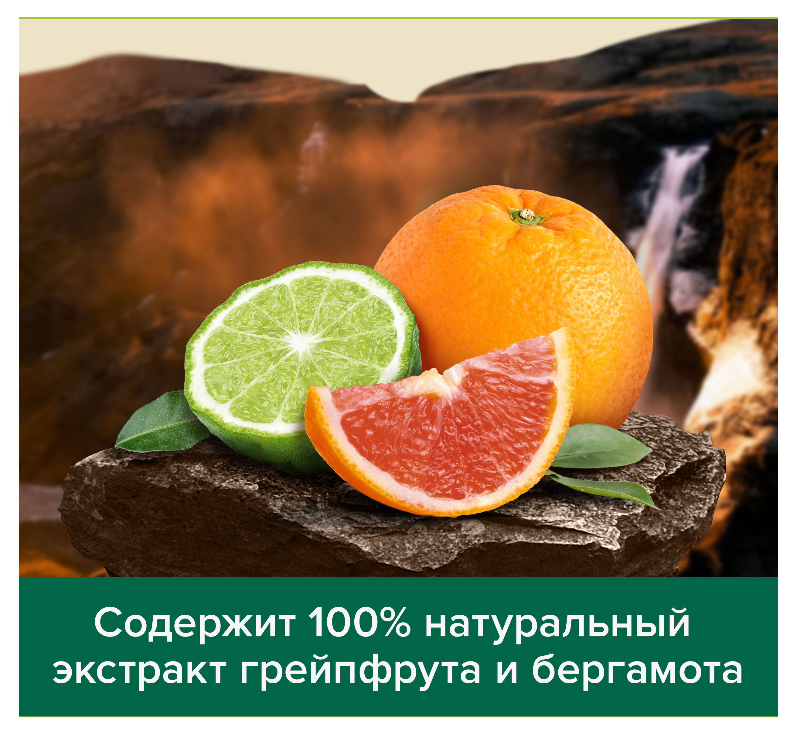 https://www.auchan.ru/files/original/32266588