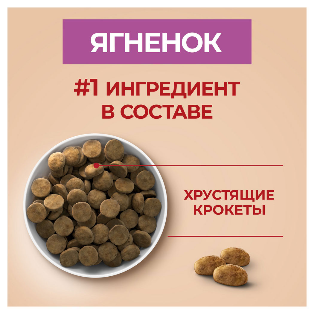 https://www.auchan.ru/files/original/32490901