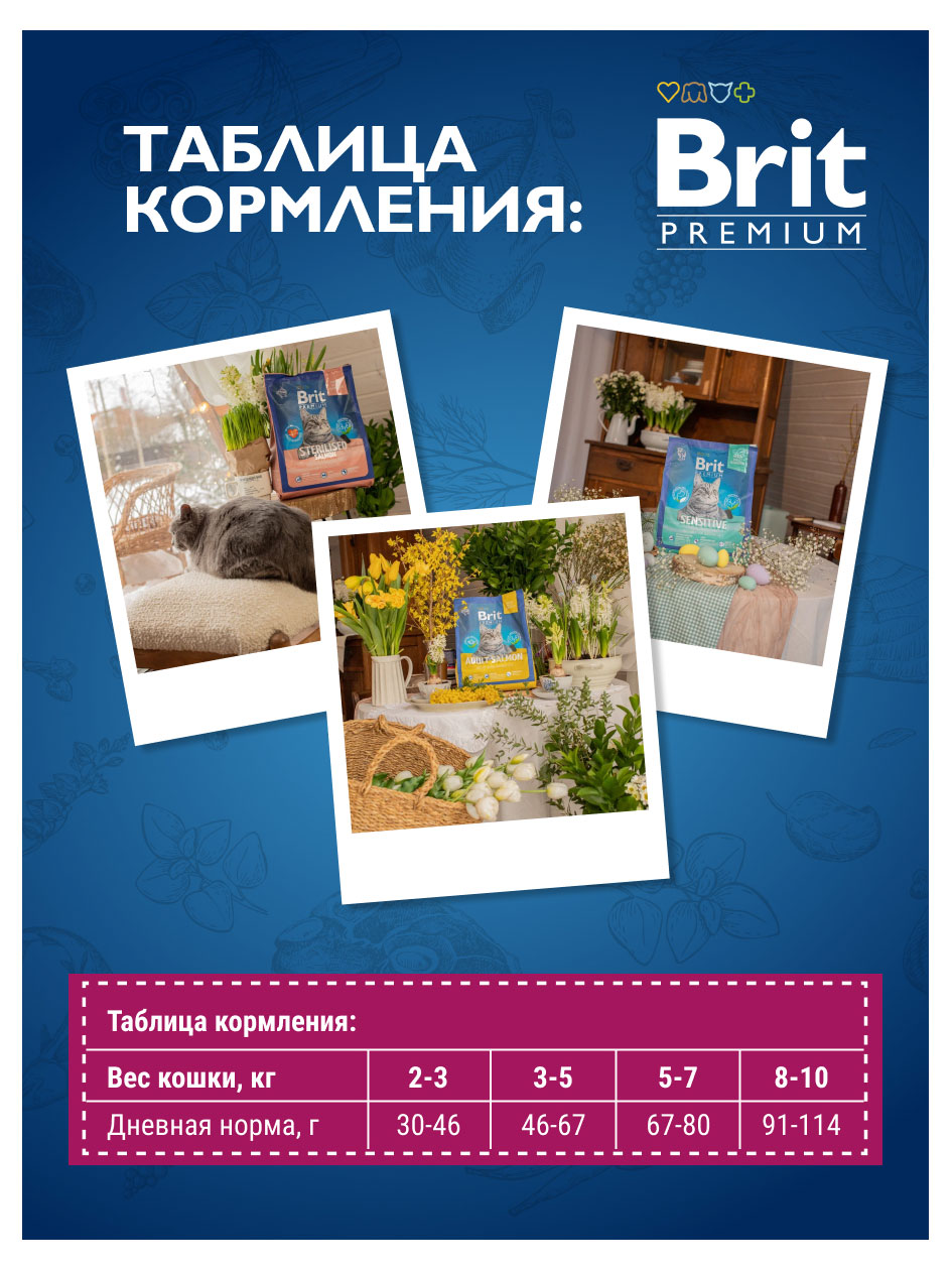 https://www.auchan.ru/files/original/32822449