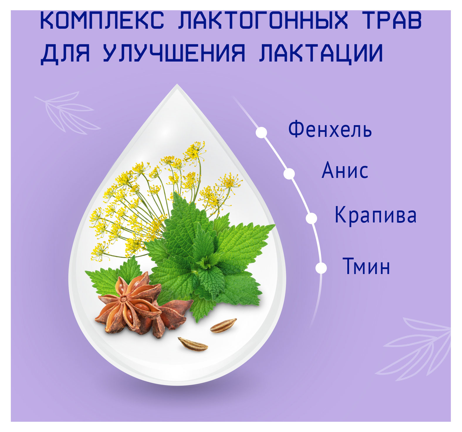 https://www.auchan.ru/files/original/32938425