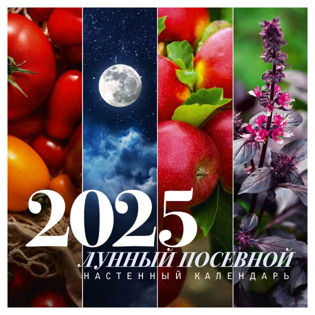 Календарь настенный «АСТ» Лунный посевной на 2025 г