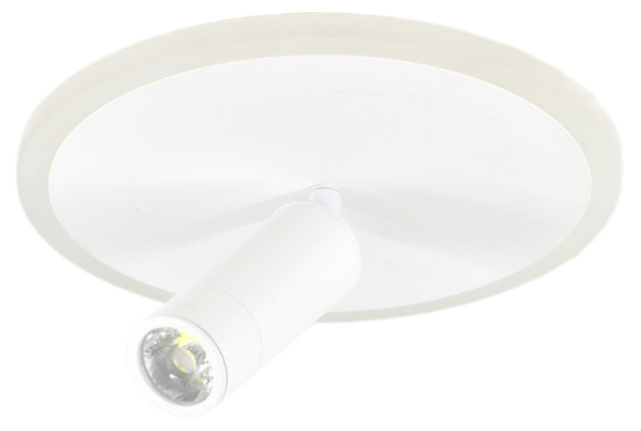 Светильник настенно-потолочный Escada 20046SMA/01 White LED 20W