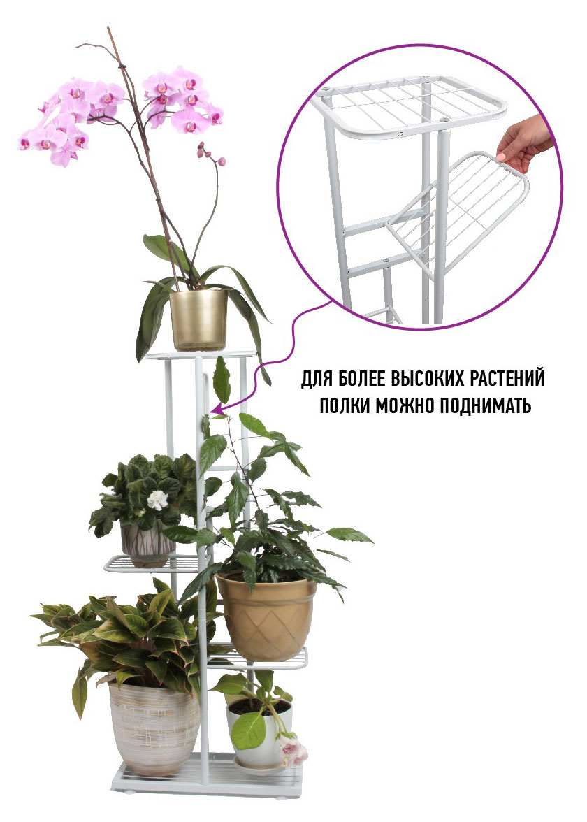 https://www.auchan.ru/files/original/32945629