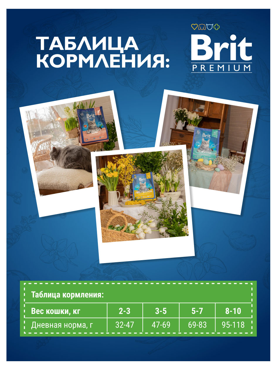 https://www.auchan.ru/files/original/32951445