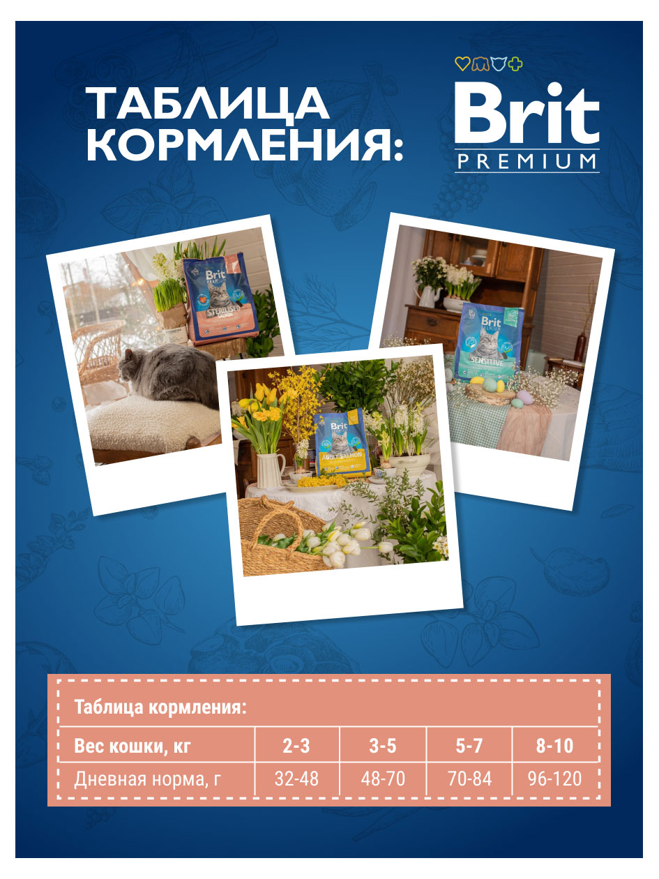 https://www.auchan.ru/files/original/32951633