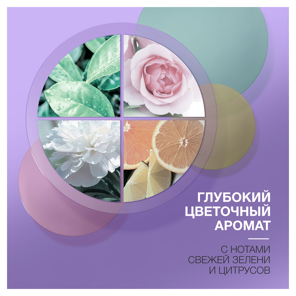 https://www.auchan.ru/files/original/33268889