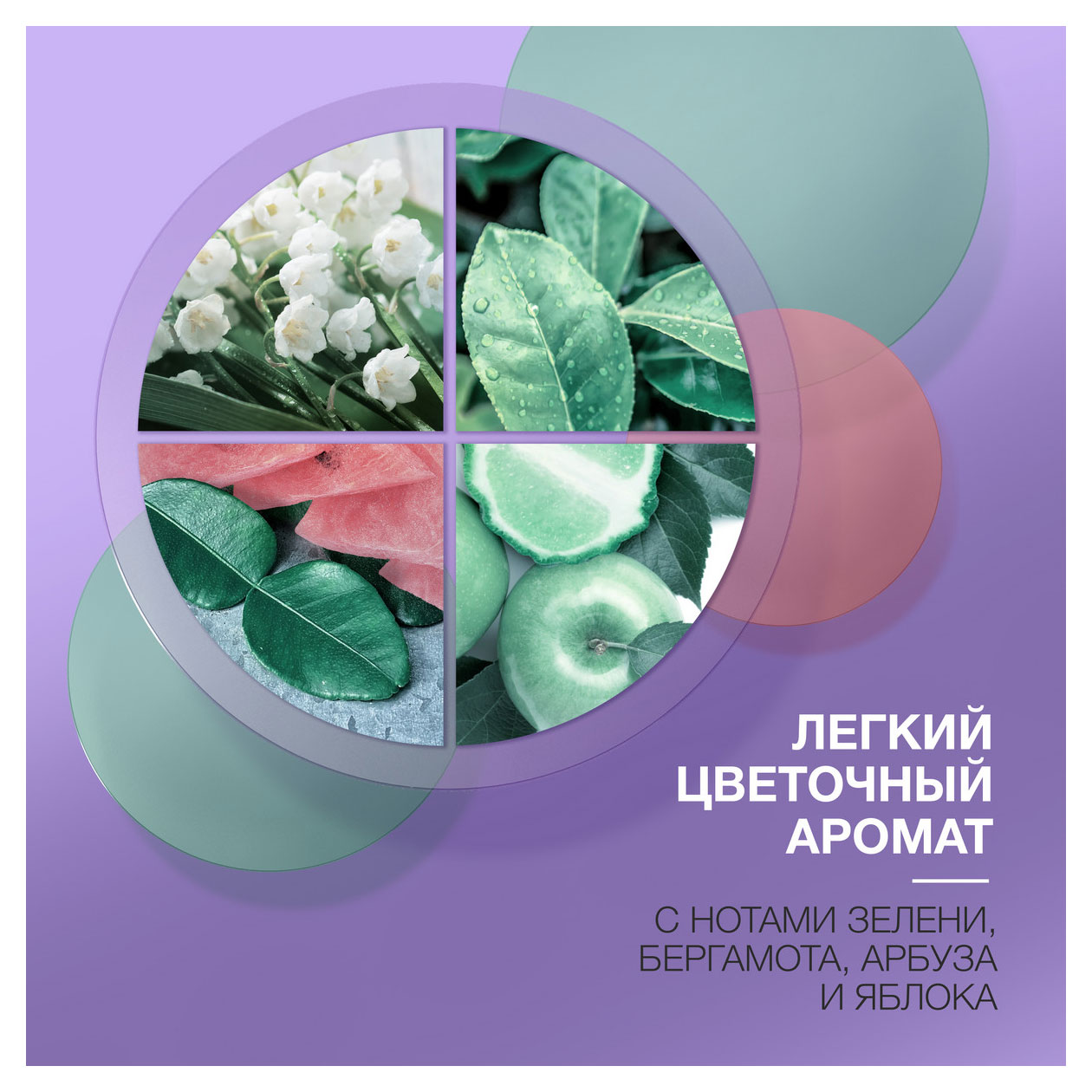 https://www.auchan.ru/files/original/33268933