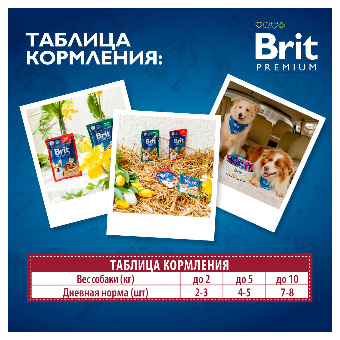 https://www.auchan.ru/files/original/33611352