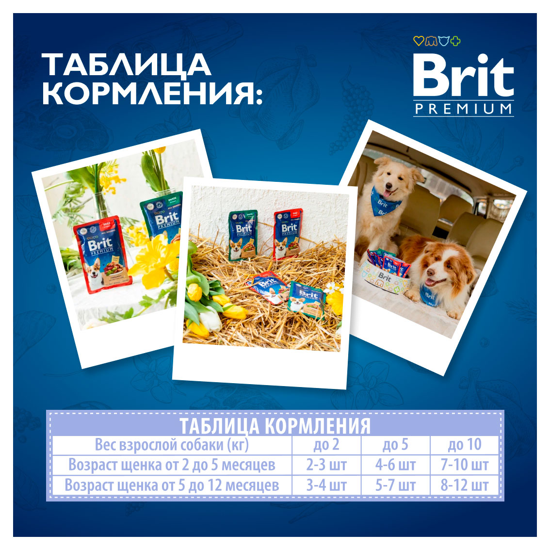 https://www.auchan.ru/files/original/33611418