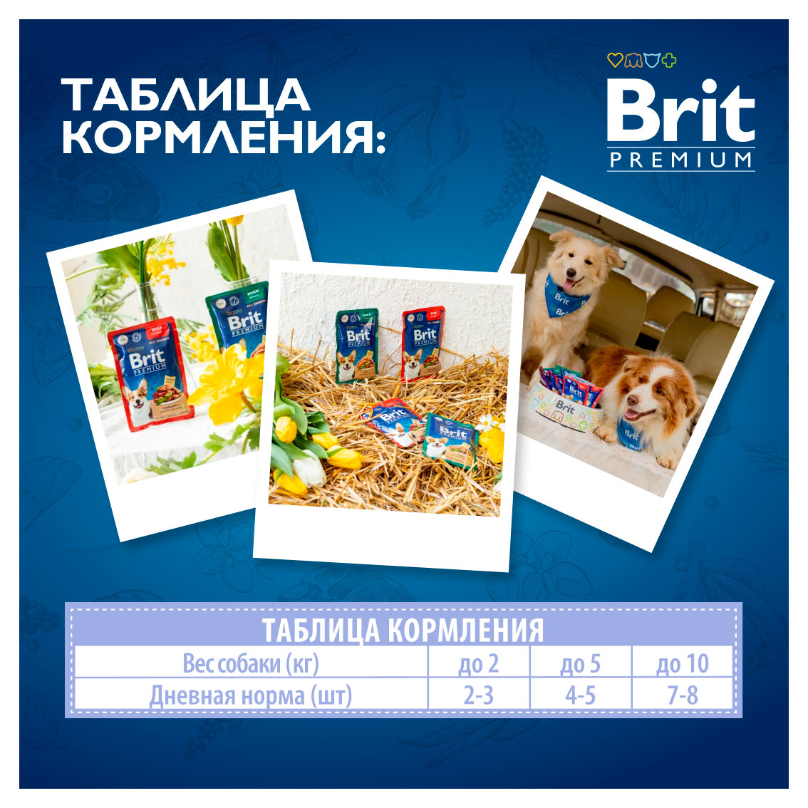 https://www.auchan.ru/files/original/33611439