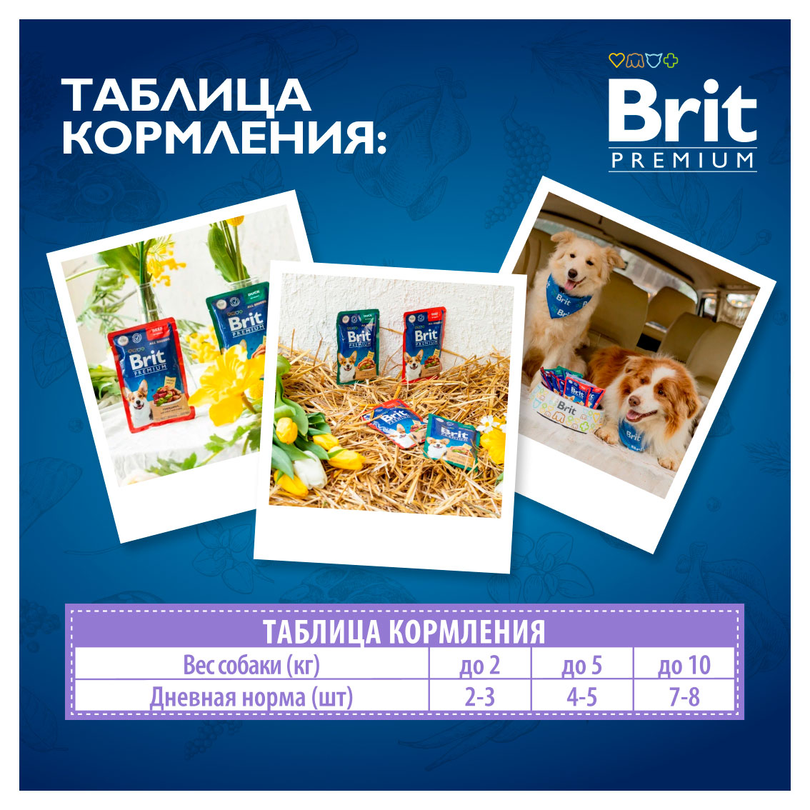 https://www.auchan.ru/files/original/33611463