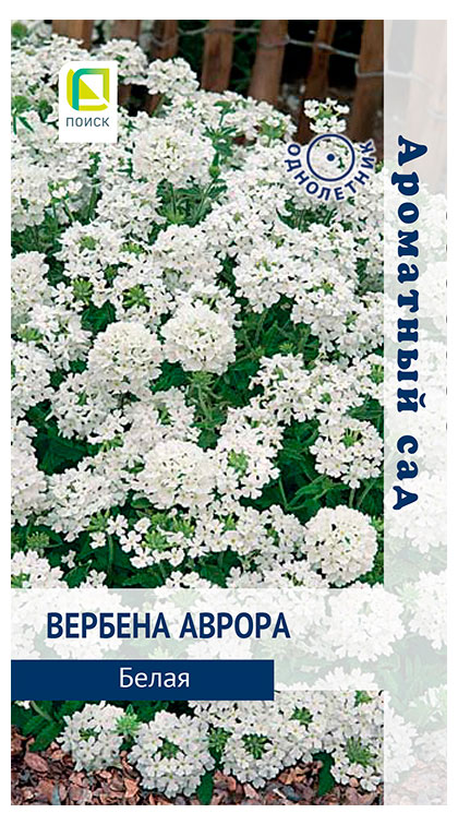 

Семена Поиск Вербена Аврора Белая, 10 шт