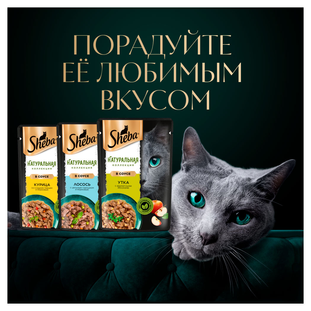 https://www.auchan.ru/files/original/33936996