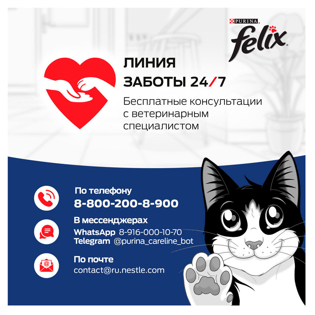 https://www.auchan.ru/files/original/33939114