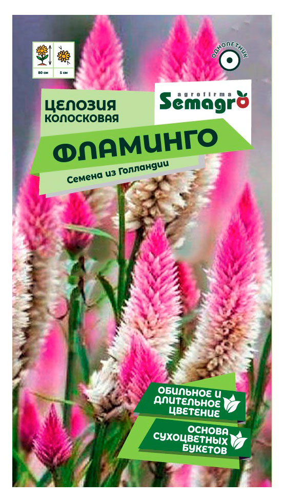 Seminis | Семена Seminis Целозия колосковая Фламинго