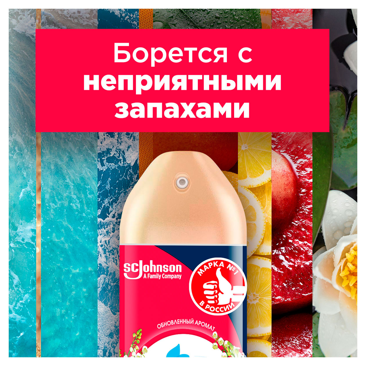 https://www.auchan.ru/files/original/34051560