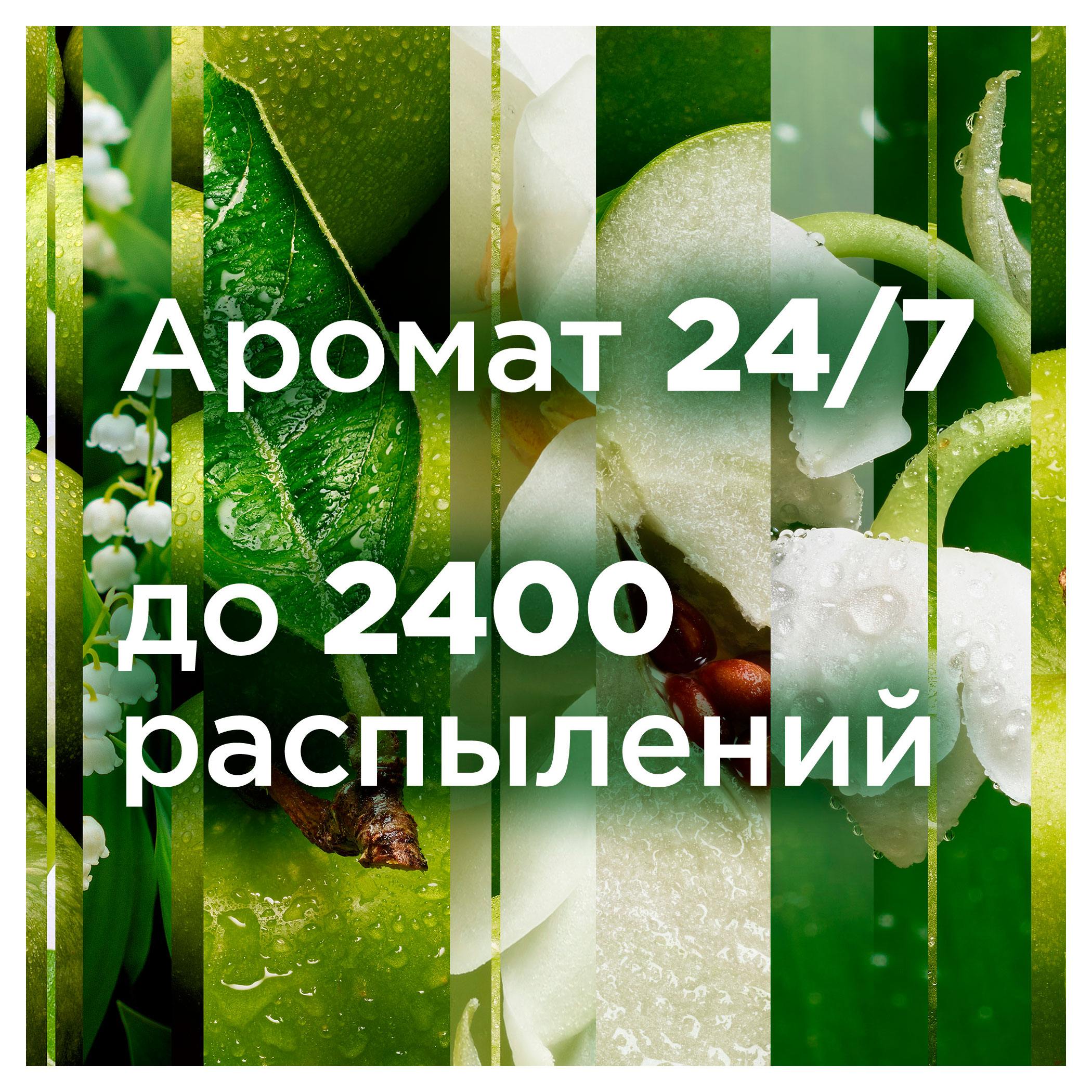 https://www.auchan.ru/files/original/34057494