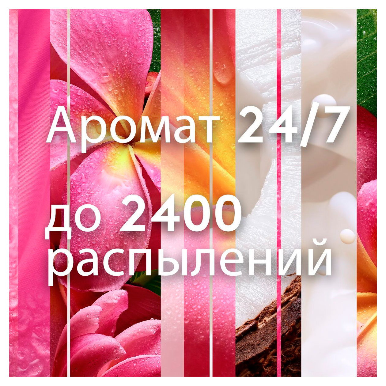 https://www.auchan.ru/files/original/34057992