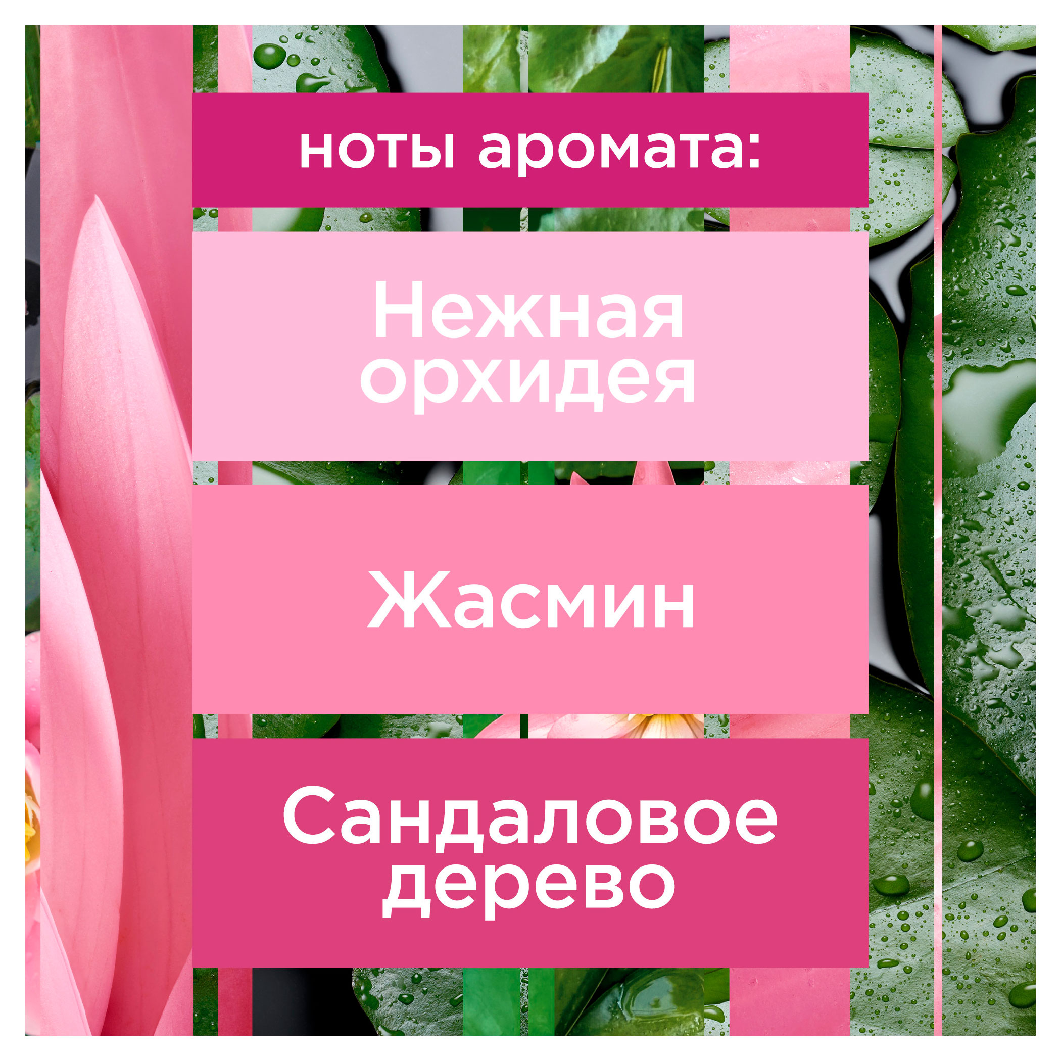 https://www.auchan.ru/files/original/34060107