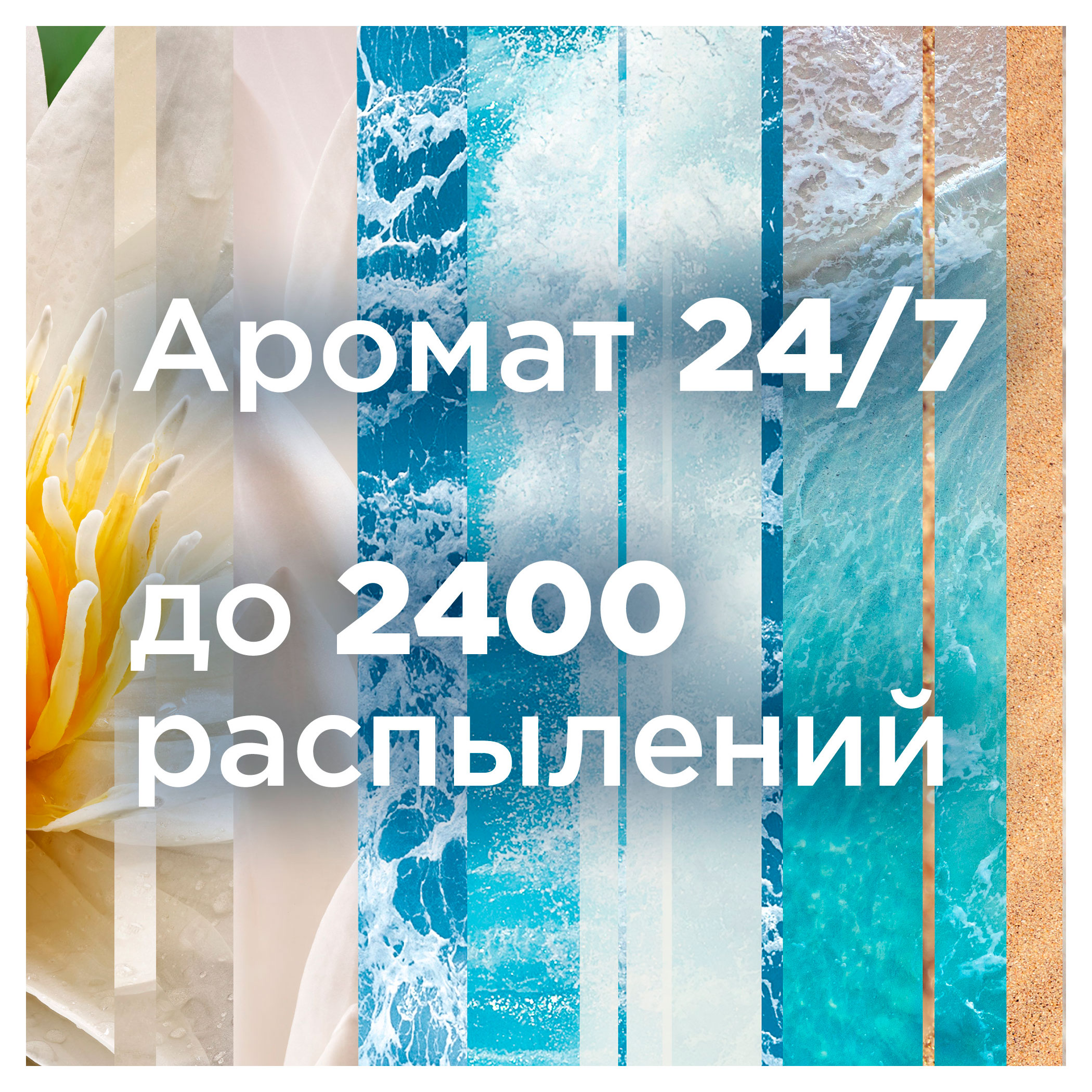 https://www.auchan.ru/files/original/34062168