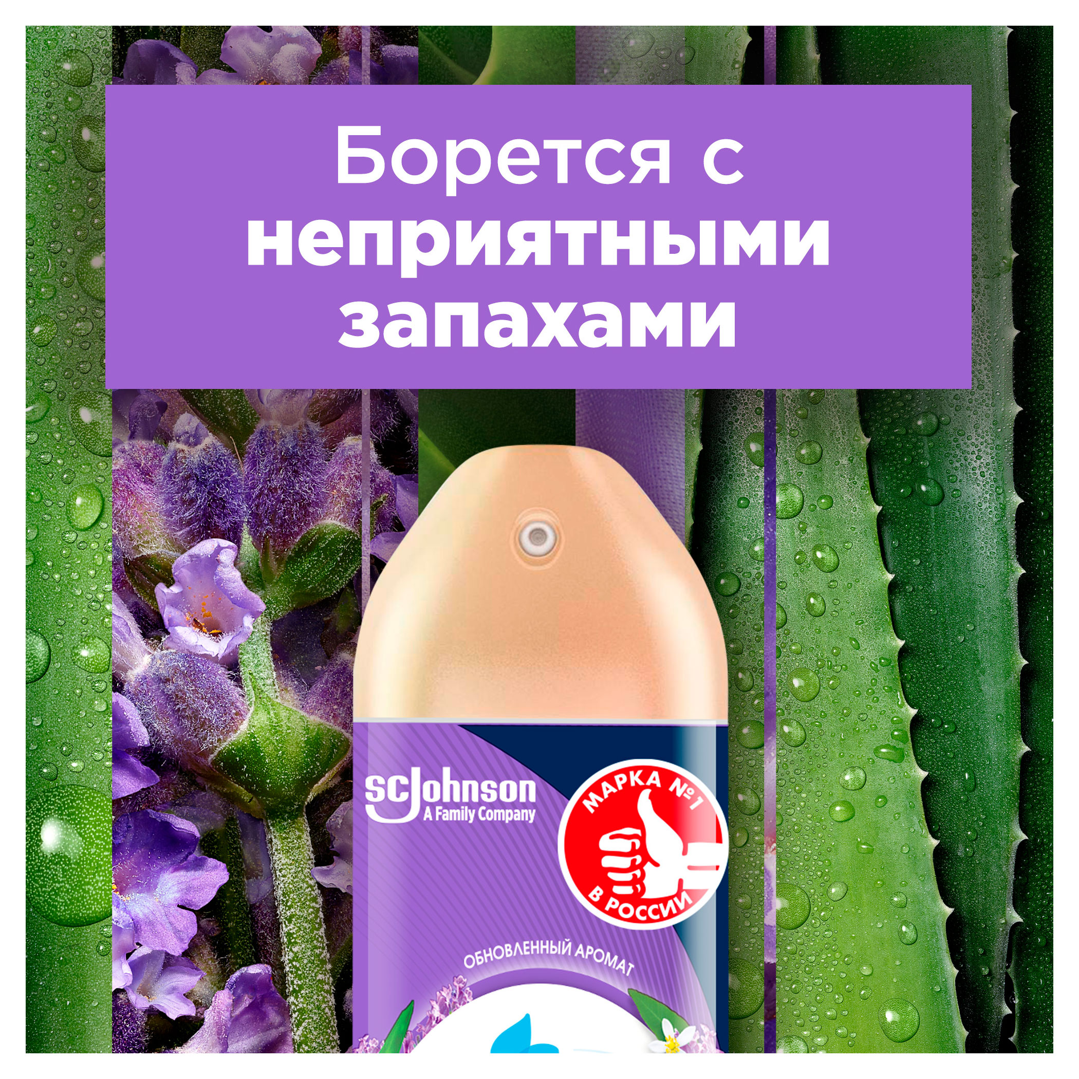 https://www.auchan.ru/files/original/34062774