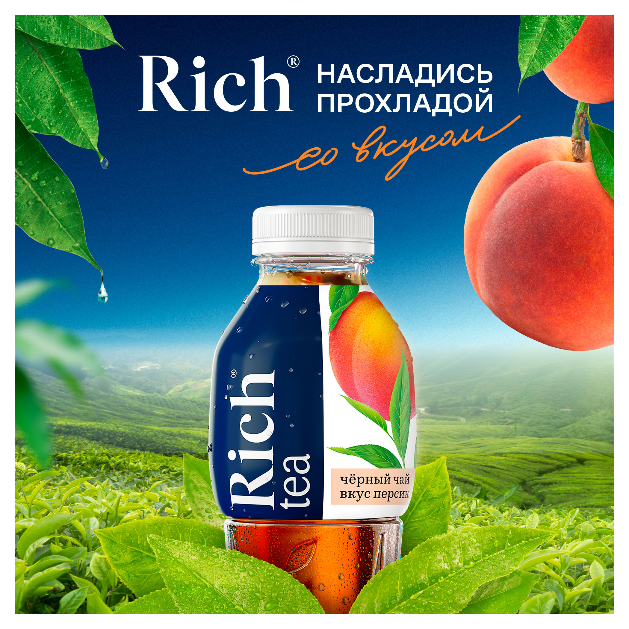 https://www.auchan.ru/files/original/34162122