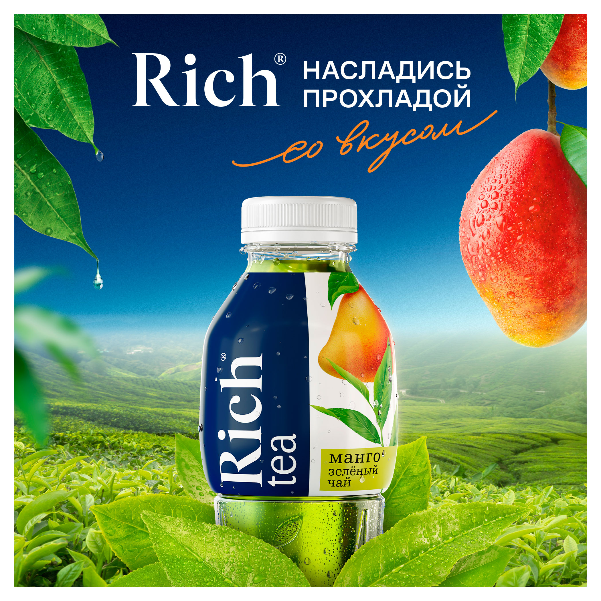 https://www.auchan.ru/files/original/34162173