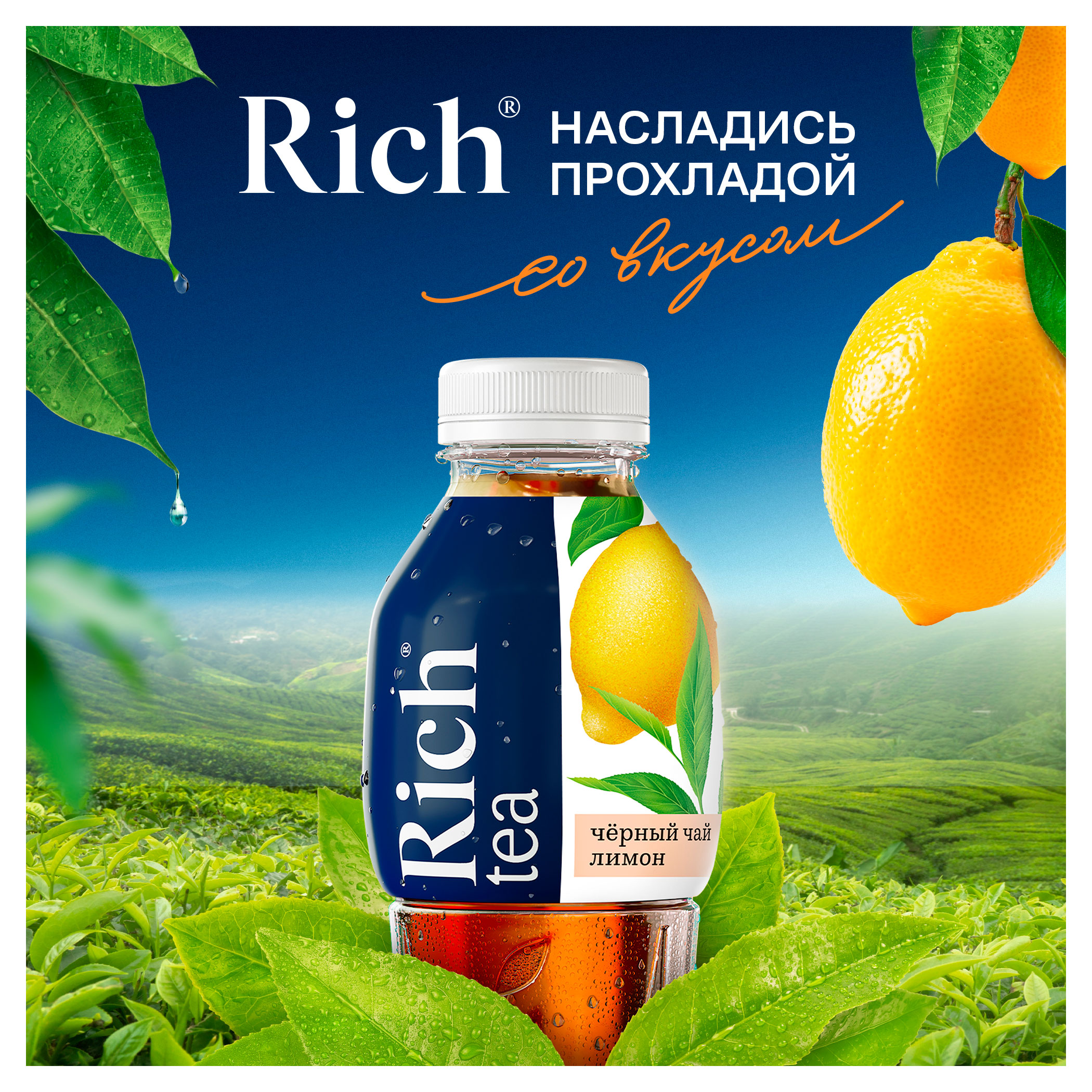 https://www.auchan.ru/files/original/34162215