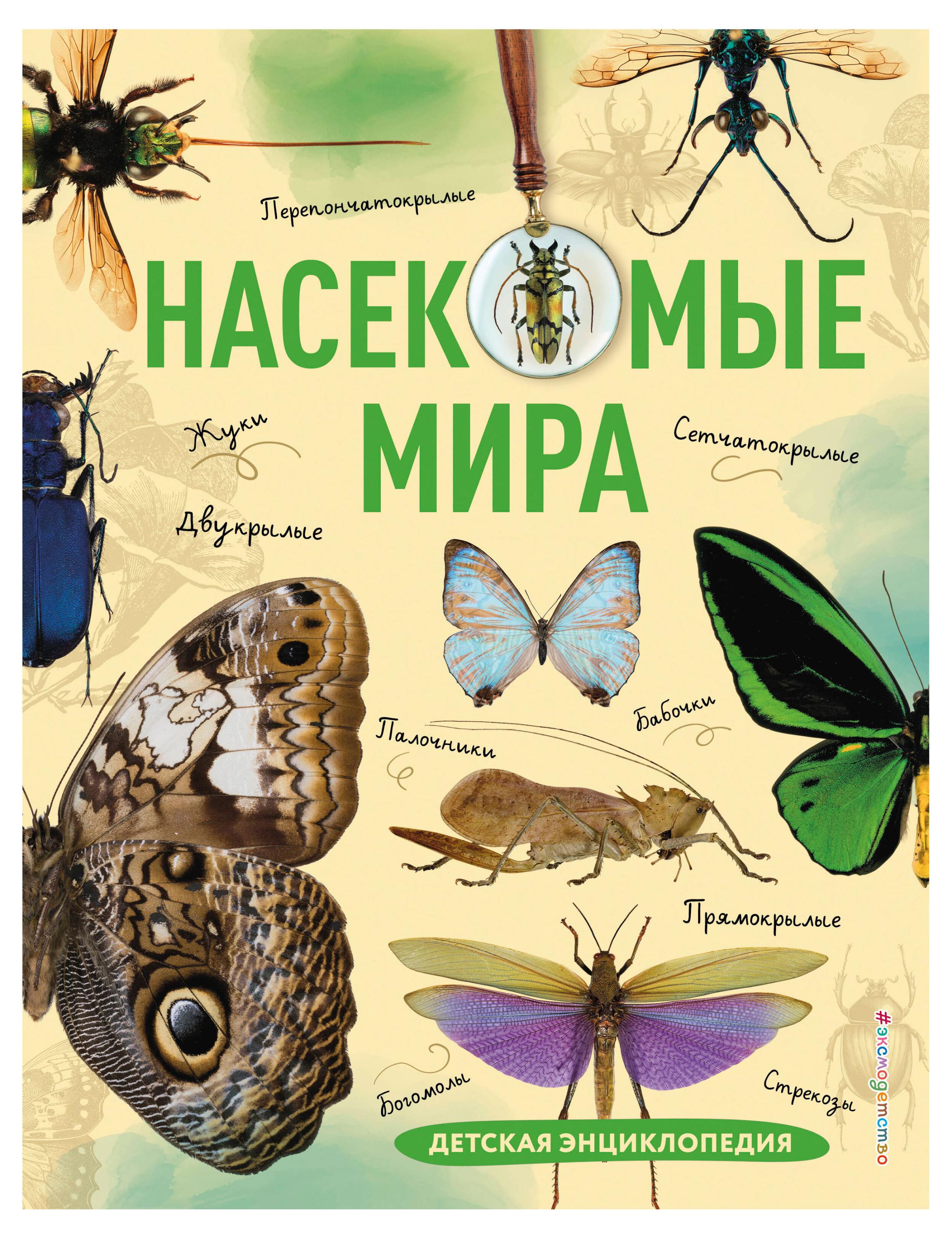 Энциклопедия детская Насекомые мира