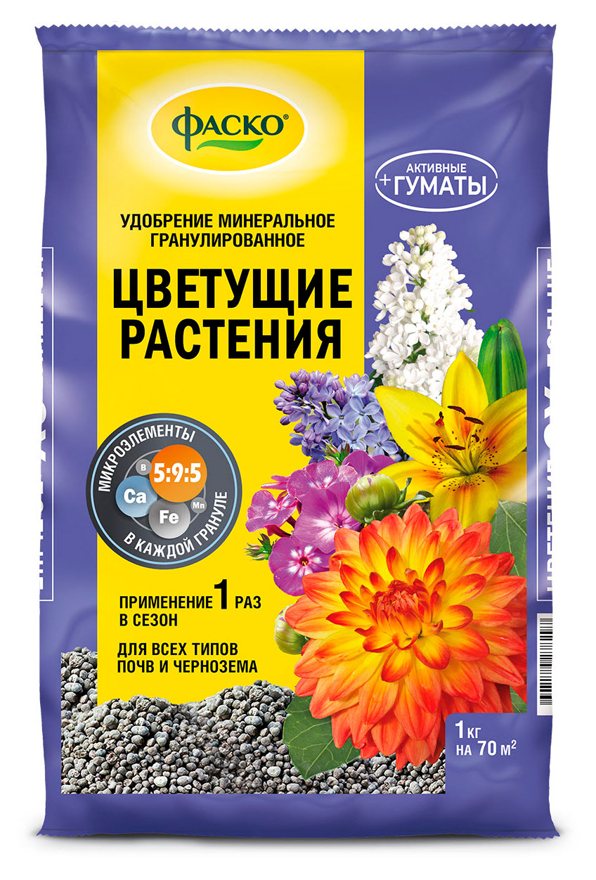 https://www.auchan.ru/files/original/34221954