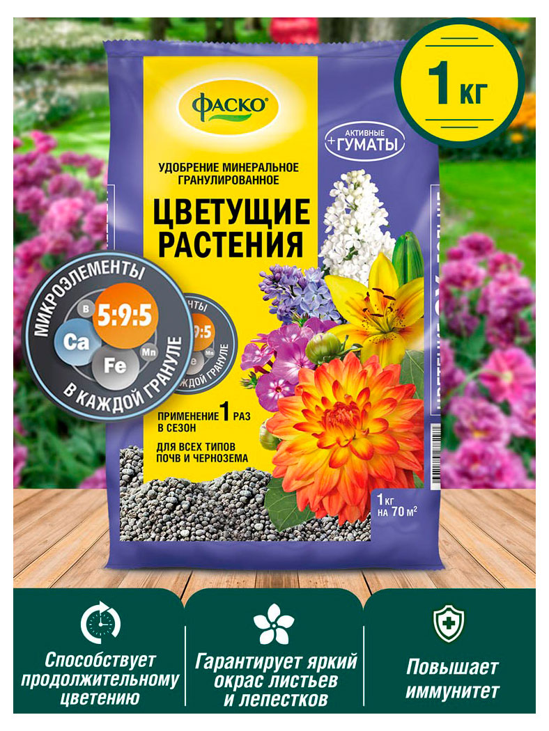 https://www.auchan.ru/files/original/34221981