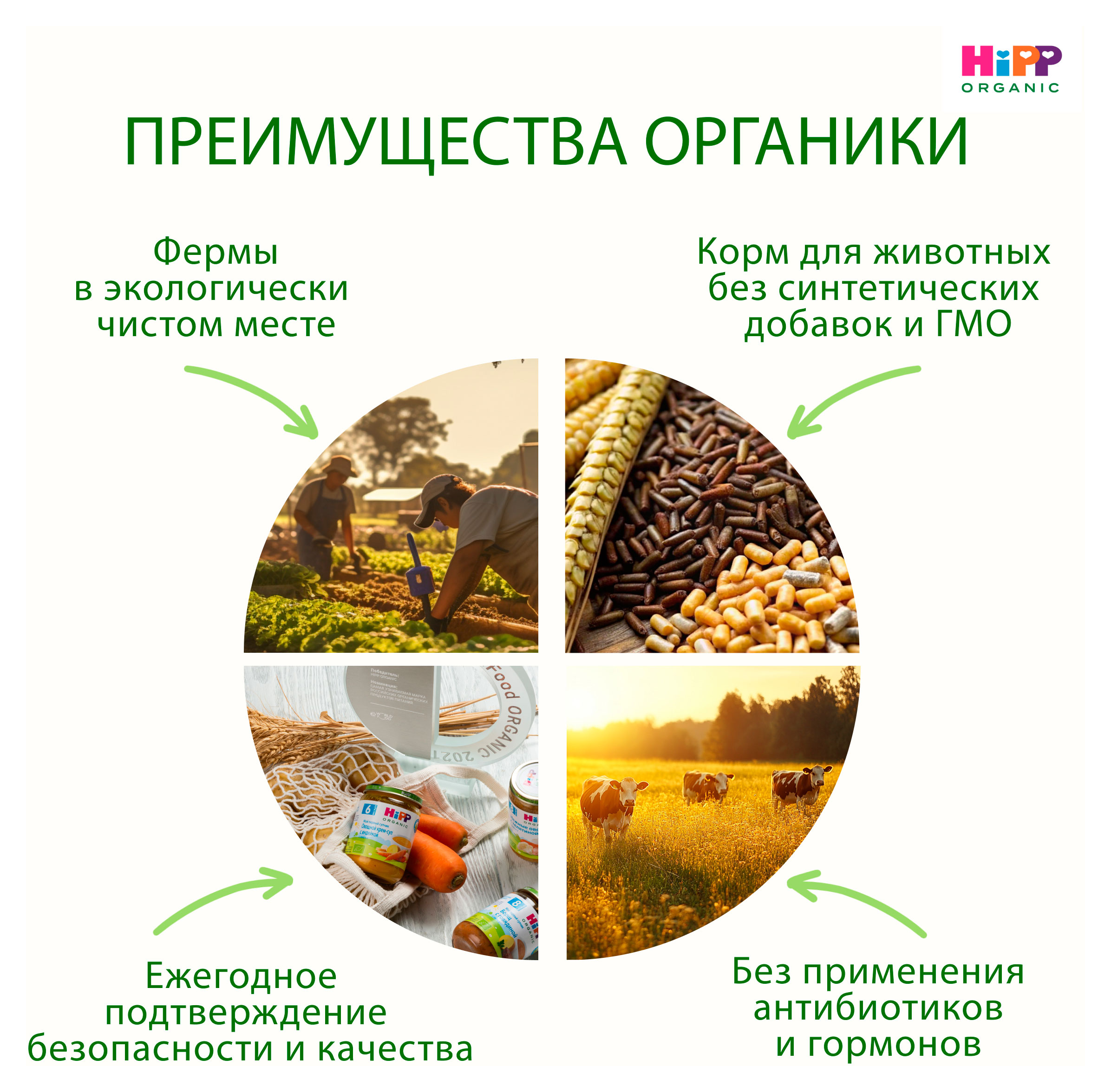 https://www.auchan.ru/files/original/34480266