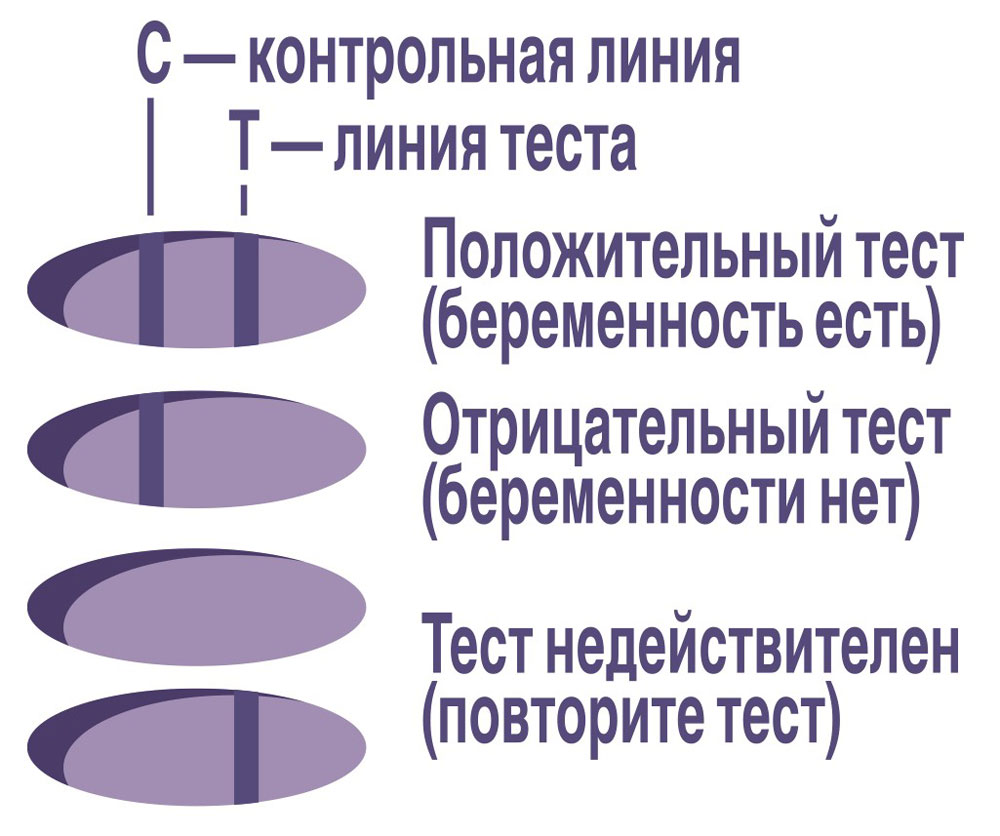 https://www.auchan.ru/files/original/5791845