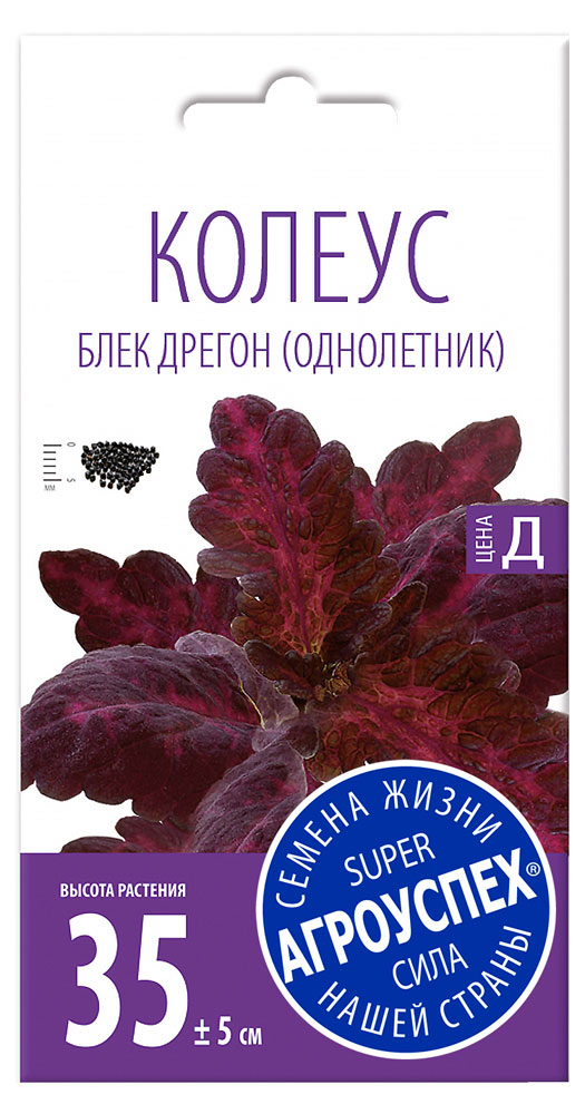 Семена Колеус «Агроуспех» Блек Дрегон, 10 шт