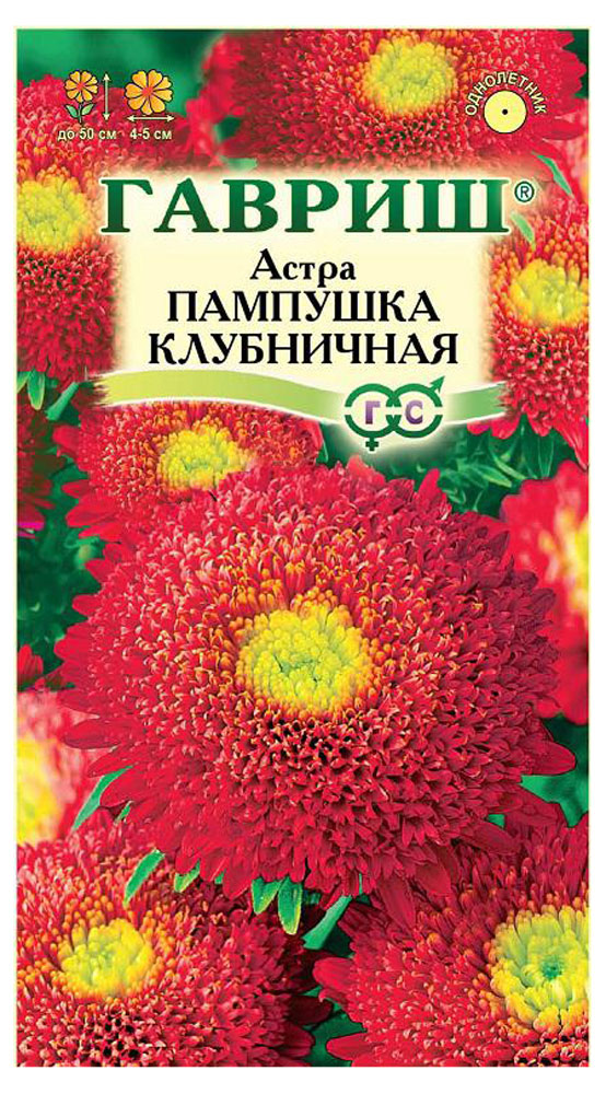 Семена Астра «Гавриш» Пампушка клубничная помпонная однолетняя, 0,3 г