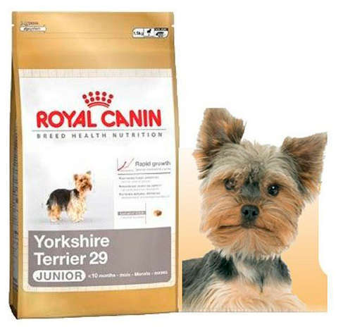 Корм для щенков Royal Canin Yorkshire Terrier Junior сухой, 500 г