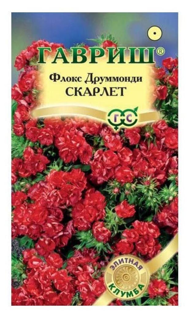 

Семена Флокс Гавриш Скарлет, 8 шт