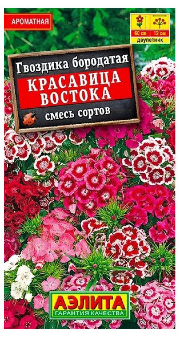 Семена Аэлита Гвоздика Красавица востока, 0,05 семена петуния обильноцветущая смесь окрасок