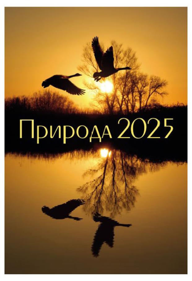 Фото Природы 2025